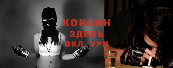 индика Нефтегорск
