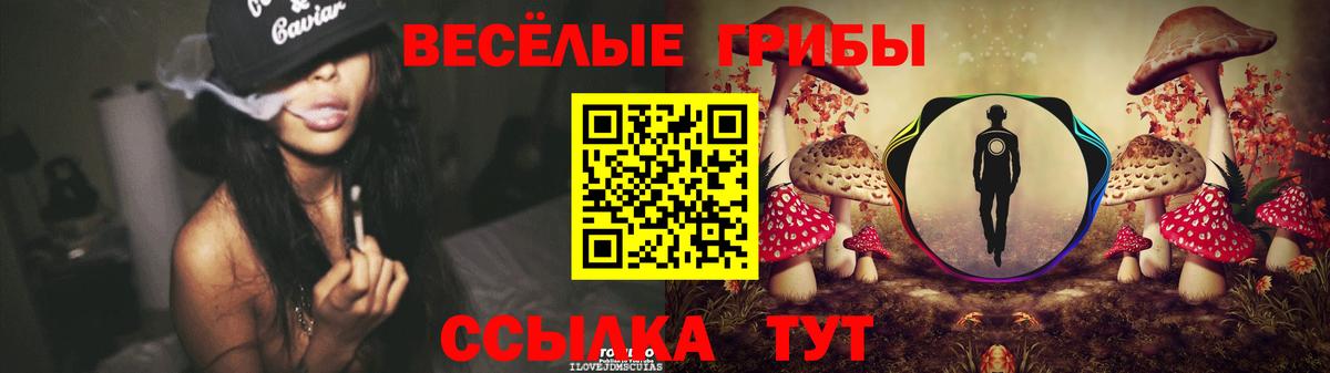 Псилоцибиновые грибы MAGIC MUSHROOMS Шали